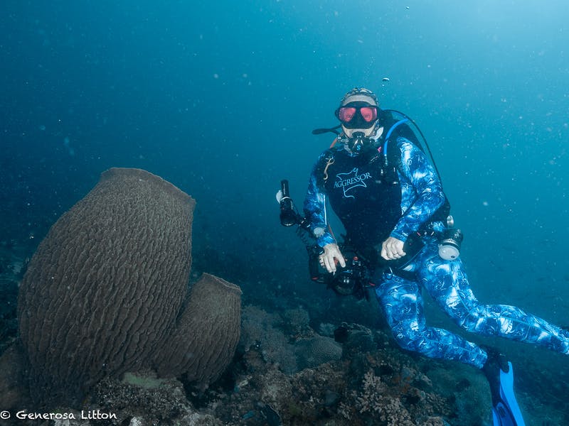 Diver with sponge barrels in the background