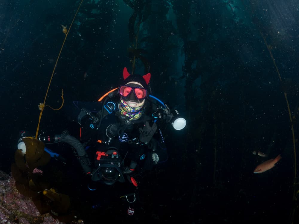 scuba diver in kelp forest