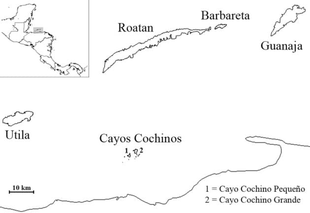 Cayos Cochinos