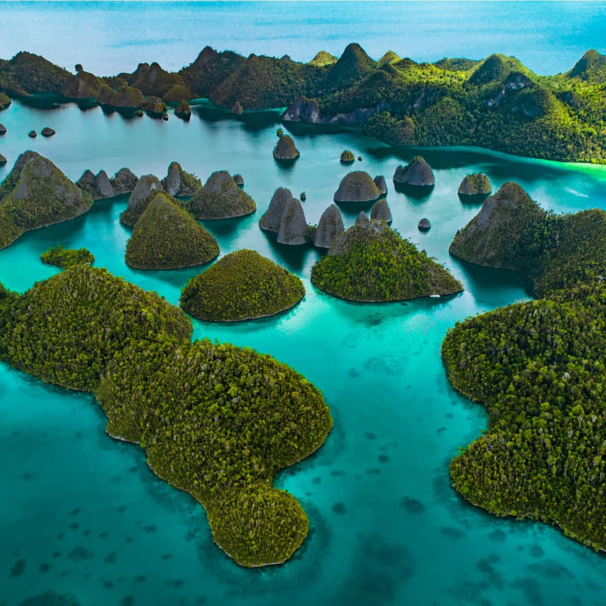 Jakarta to Sorong map