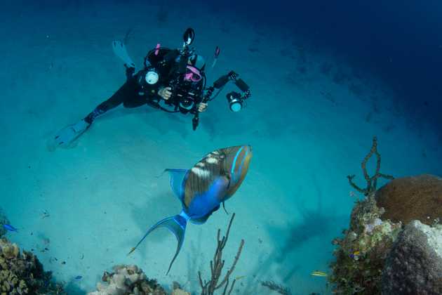 Diver photographing fish