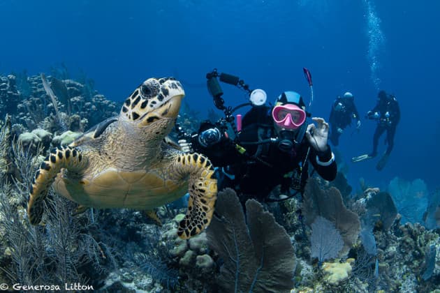 Diver with turtle