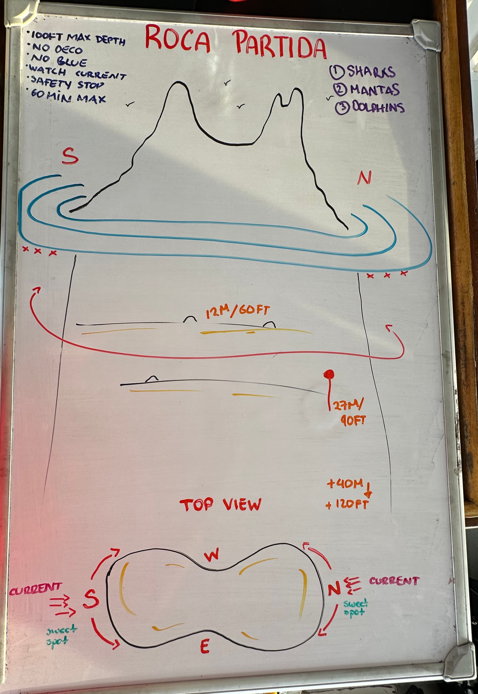 roca partida dive map