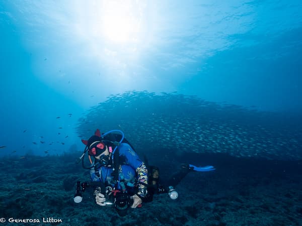 Scuba diver in front of a school of fish
