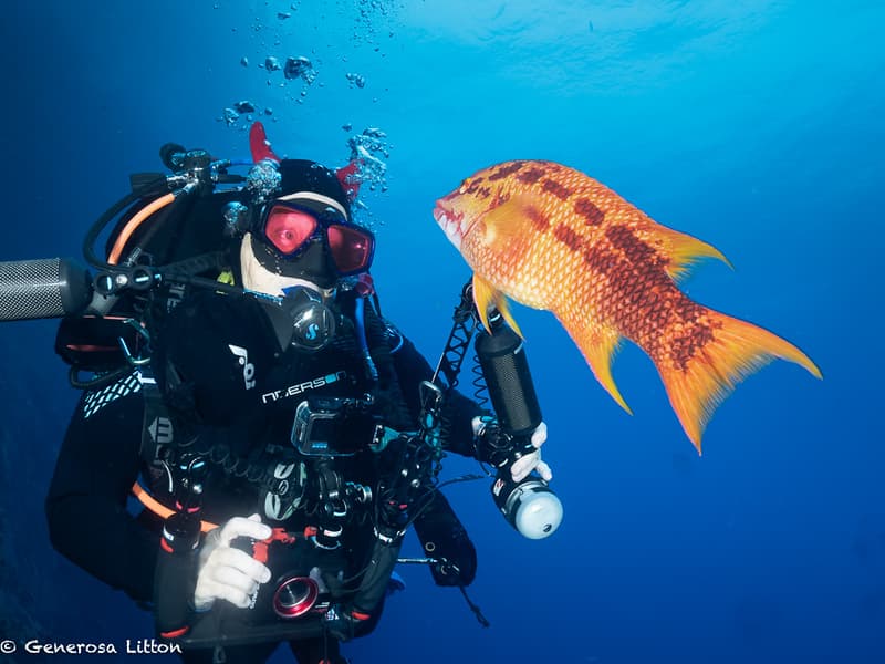 Linda looking at hogfish
