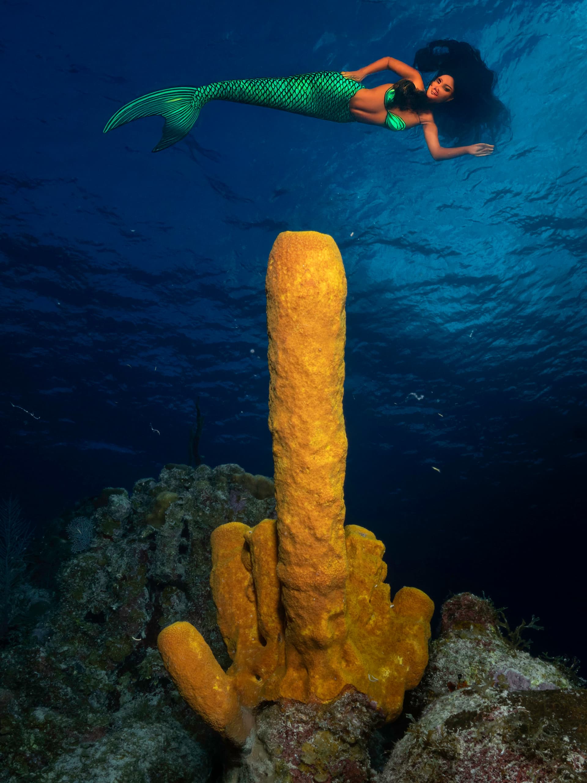 Photoshop generated mermaid on top of a finger-shaped sponge