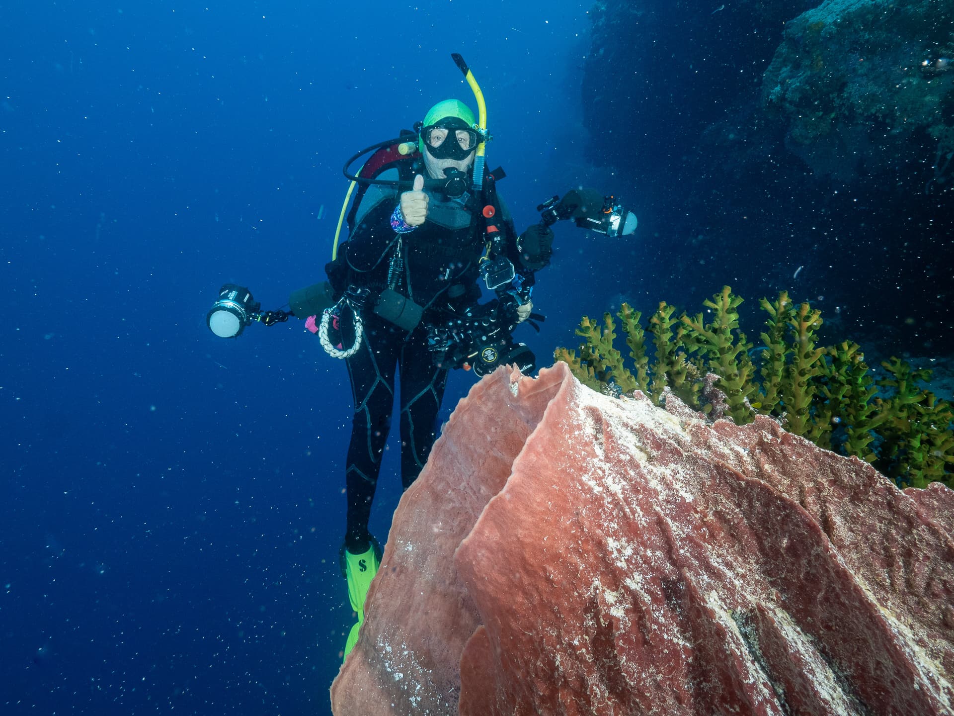 Deb with Barrel Sponge